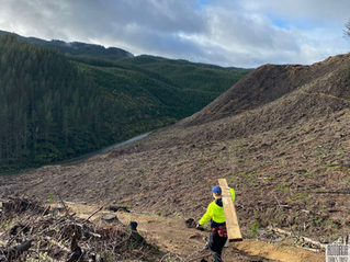 🌟🚵‍♂️ WHAKA WEEKLY 🚵‍♂️🌟10 July 2025