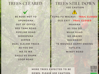 ⚠️ Caution: Windfall in the Whakarewarewa Forest 🌲🌬️🌧️