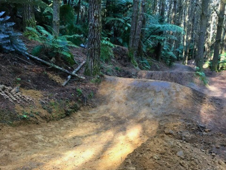 🚵♂️ TRAIL SPOTLIGHT: KATORE JUMPS 🚵♀️