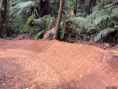 🌟🚵♂️ WHAKA WEEKLY 🚵♂️🌟 25th September 2025