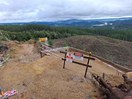 🚧 Trail Closure Notice: Lower No Brains 🚧
