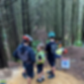 Pigeon Run (5).png