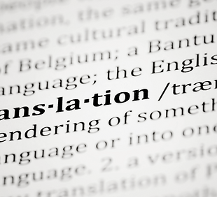 trans-la-tion_edited_edited.png