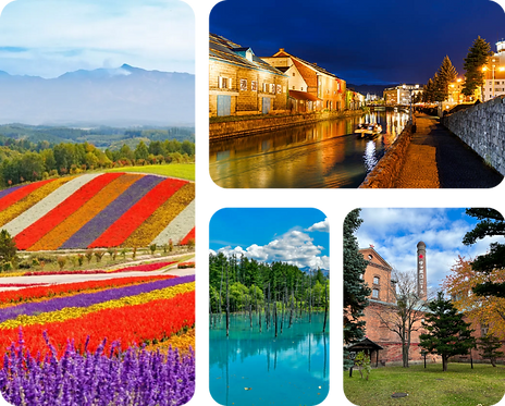 Book Your Private Hokkaido Tour