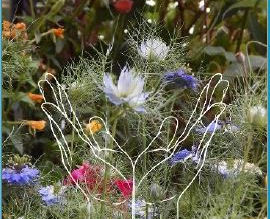 Can a photo truly tell a tale of a thousand words?