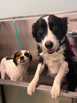 bathing.jpeg