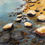 Thumbnail: Autumn