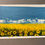 Thumbnail: Abstract #20