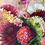 Thumbnail: Cat and Vase