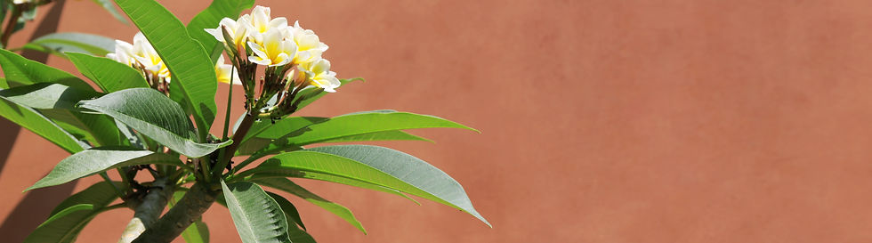 AEnB2UoK1z4xWt3QVe5iKsEGgbk1M41iH1mkOseN