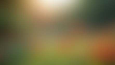 Inspirez-vous : Idées pour un Mode de Vie Serein