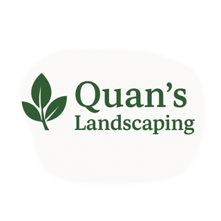 Adobe Express - file.png