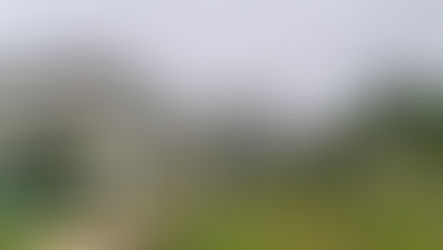 A Comissão Parlamentar de Inquérito tem como objetivo apurar as constantes quedas de energia elétrica registradas no município e os impactos causados à população, ao setor empresarial e ao próprio poder público.