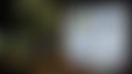 Homem morre afogado em Quatro Barras; vítima teria recebido uma oferta de R$ 50 para atravessar o lago a nado