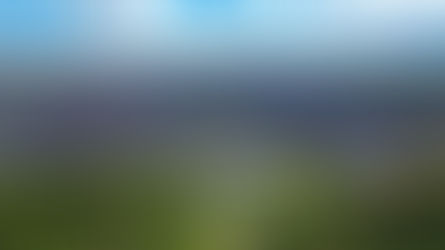 Esse fortalecimento também é impulsionado por campanhas institucionais e ações de conscientização da Prefeitura