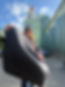 IMG_0596.jpeg
