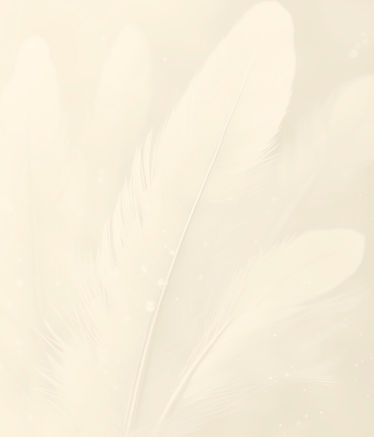 fondo-002-crema.jpg