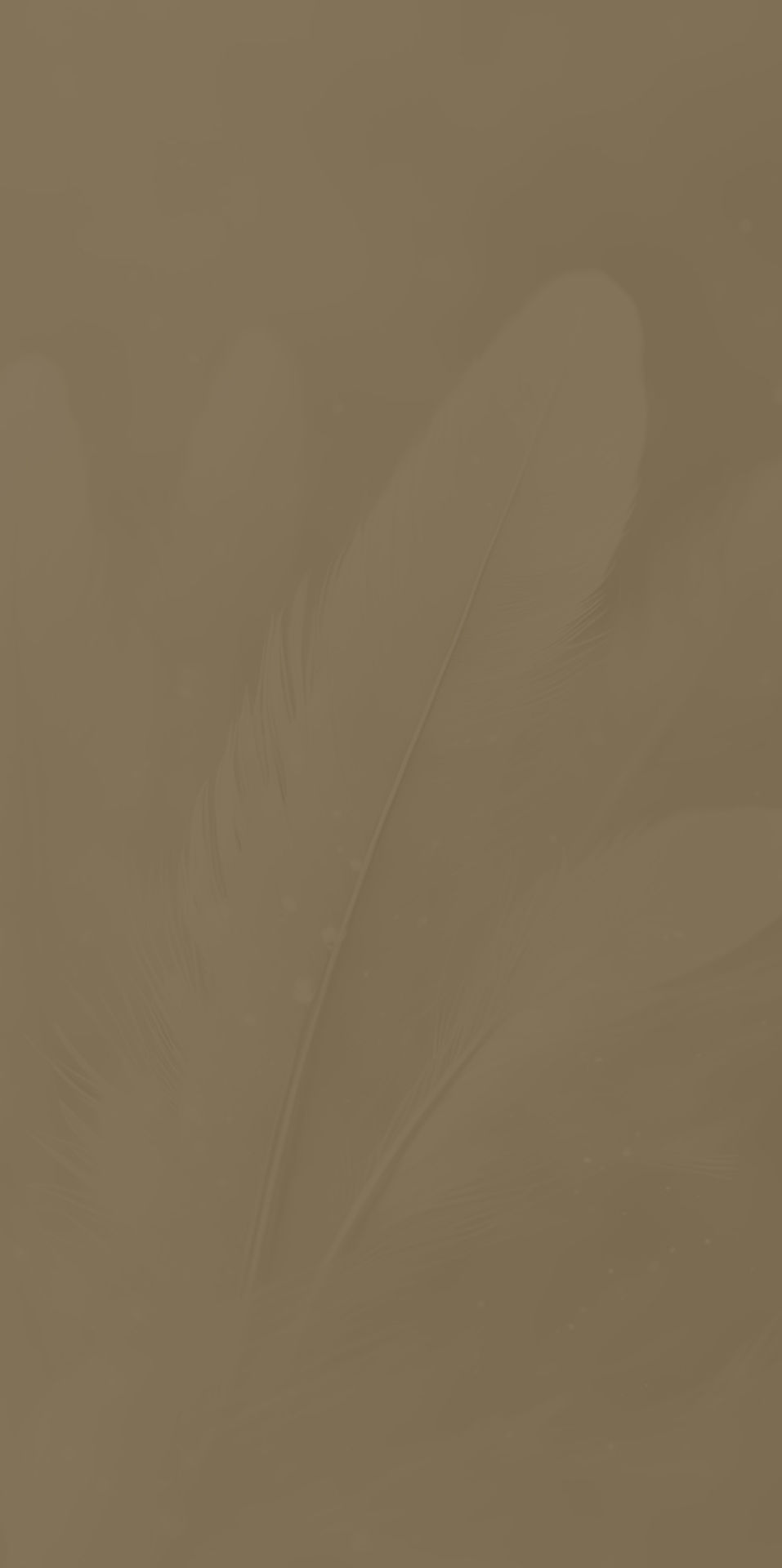 fondo-002-beich.jpg