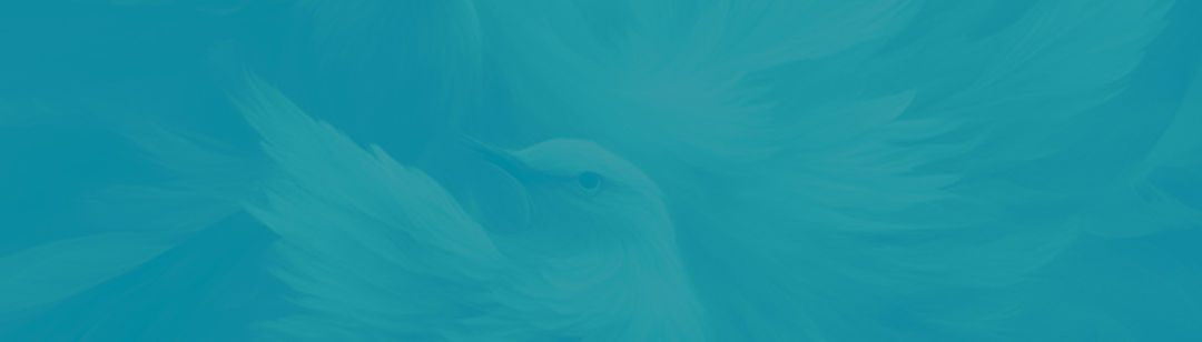 fondo-001-turq.jpg