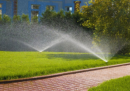 Jardin arrosage automatique