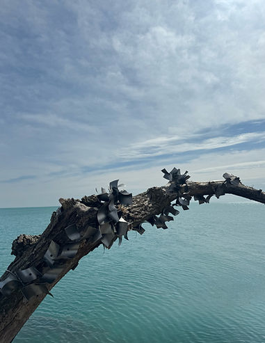 cruve final_edited.jpg