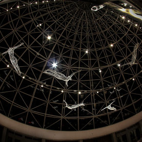 Installation of Rainer Lagemann’s suspended flying sculptures at the Baker Museum in Naples, Florida, 2014