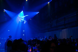 05_03 Disco Ball-41