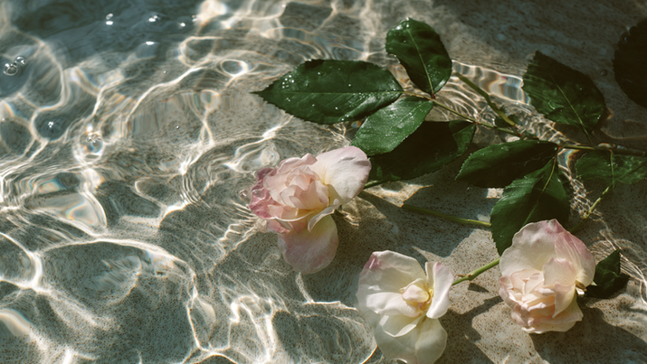 Flowers and green leaves floating in water with rippling sunlight patterns.