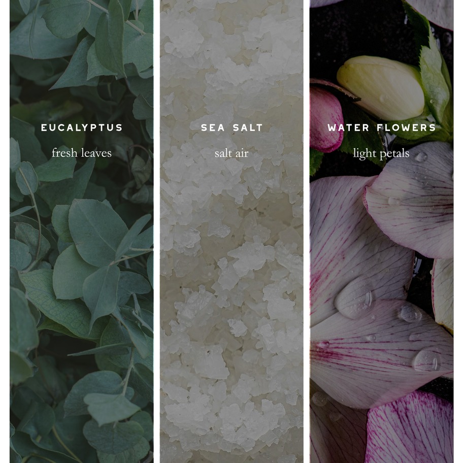 Scent notes for Gratitude candle featuring eucalyptus leaves, sea salt crystals, and soft water flowers