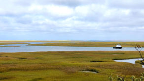 Notes from a Clamshell Path | No. 19