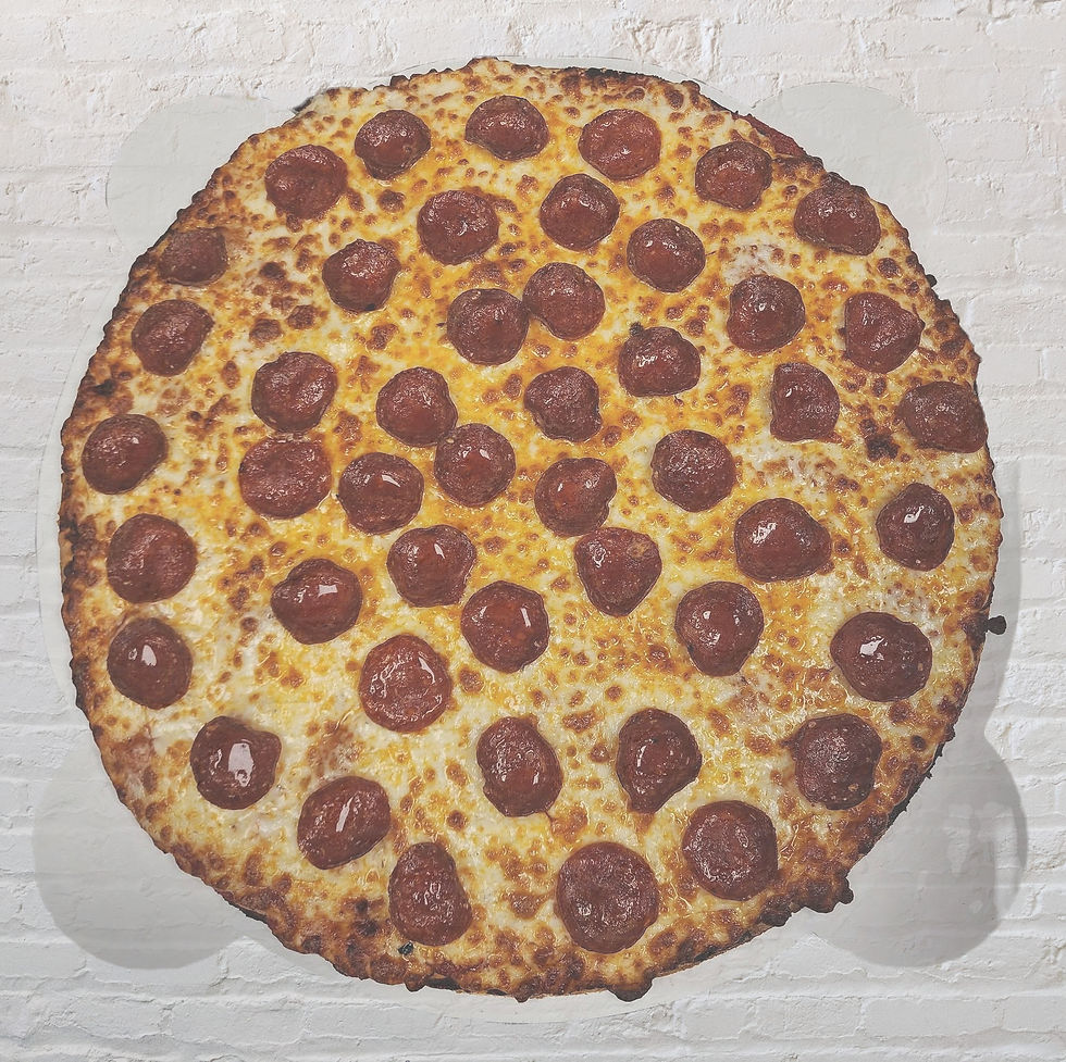 Fatso’s Famous Pizza
Pepperoni pressure system moving in. Resistance appears futile. 🍕