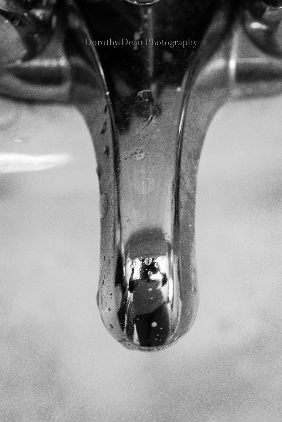 TCC DP Week 3-4.jpg