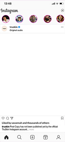 Truskin IG Template (base).png