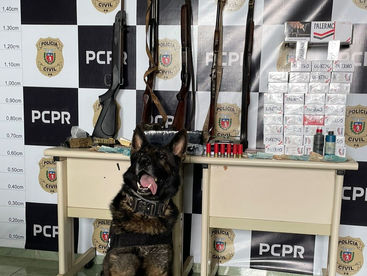 Polícia Civil cumpre 11 mandados de busca e apreensão contra tráfico de drogas em Sengés