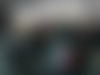 Comitê Territorial Avança Campos Gerais é formado por 10 municípios da região