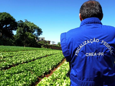 Crea-PR inicia fiscalização da Safra Verão e divulga resultados da Safra Inverno