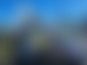 FOTOS: Avião de pequeno porte cai em União da Vitória; Ninguém ficou ferido