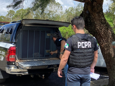 Polícia Civil prende pai e filho, suspeitos de homicídio em Castro