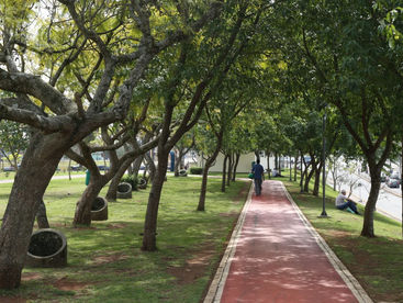 Homem é baleado e morre no Parque Ambiental nesta tarde