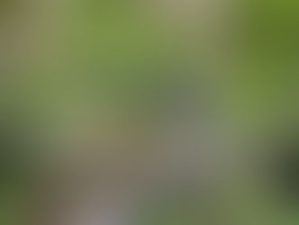 Instituto Água e Terra aplicou mais de 300 multas na região durante 2020