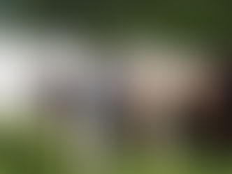 Quase metade dos criadores de animais ainda não atualizou o cadastro do rebanho em Ponta Grossa