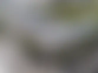 Prefeitura altera pontos no Terminal para receber ônibus superarticulados