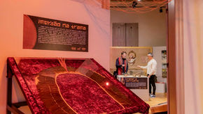 Museu Campos Gerais abre exposição com acervo indígena de 18 etnias