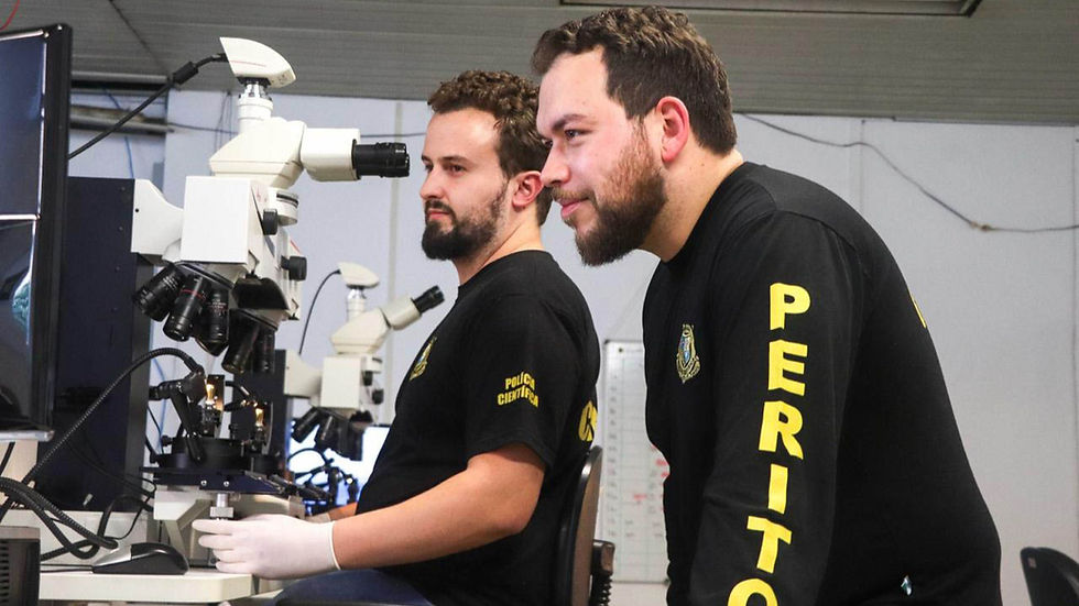 O aumento do número de destruições de armas foi de 50% em relação ao ano anterior Foto: Divulgação