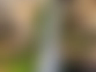 Morre turista que caiu de cachoeira em Ponta Grossa durante rapel; Instrutora segue internada