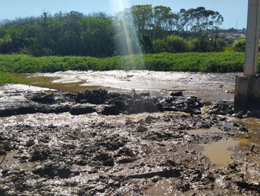 Prefeitura prevê R$ 3 milhões para limpeza pesada no Lago de Olarias