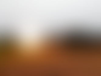 ENTREVISTA: Tenente-coronel explica exercício militar que movimenta blindados em Ponta Grossa