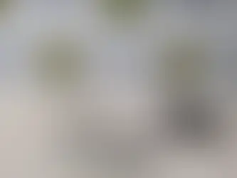 Discussão na saída de boate termina com homem esfaqueado no Centro de Ponta Grossa