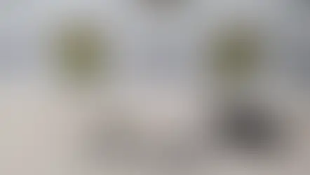 Discussão na saída de boate termina com homem esfaqueado no Centro de Ponta Grossa