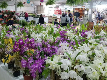 14ª Expo&Flor será realizada em setembro no Parque Ambiental